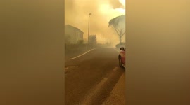 Forest fire came perilously close to homes in Slovenia