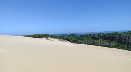 Forêt de la teste de buch avant les incendies ravageurs