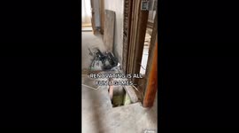 Couple find bizarre collection of BONES while renovating home – but all is not as it seems. Part 1