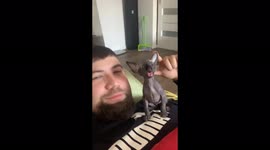 Sphynx kitten sneezes and makes a beat!
