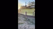 temp