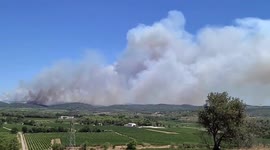 France hit with forest fires in Herault’s Aumelas plateau region
