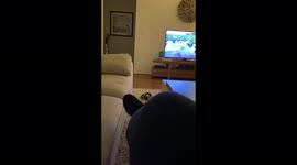 Gracie gets the zoomies and makes her own sound effects!