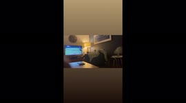 Gracie loves Wimbledon