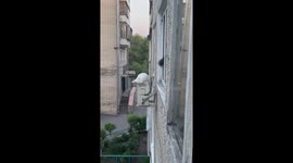 The cat almost fell off the air conditioner on the second floor of the house