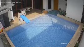 Swimming pool trembles as magnitude 7 quake rocks the Philippines