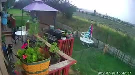 Lightning bolt strikes yards from pensioner on her back garden porch