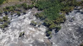 Fall out from San Michele fires in Campania, Italy seen in this drone footage