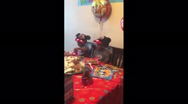 Boy Flips Off Camera