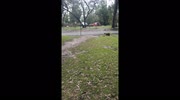 temp