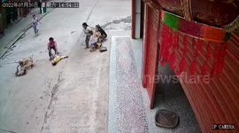 Pet dog defends toddler from aggressive pooch in southern China