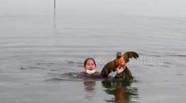 Parrot owner jumps into to water to save her drowning bird