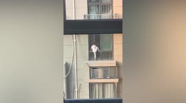 Neighbours shout at boy after he climbs out of window on 29th floor of building