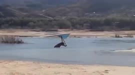 Hang glider landing fail - left wing catches the ground