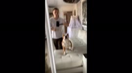The dog helps his owner to hold the phone for a TikTok !