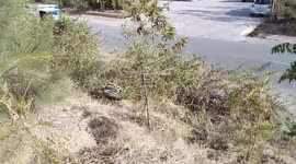 A big vulture at Nazareth, Ethiopia. This vulture was hit by an electric wire just before I saw it. And at this time it was trying to recover. Unfortunately it didn't.