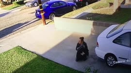 Dog Knocks Woman Over