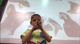 Boy Shares Toy Animals