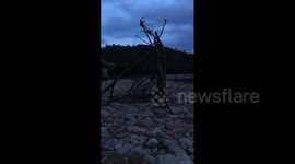 Man Throws Gasoline on Fire