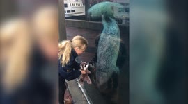 Seal Follows Girl in Aquarium