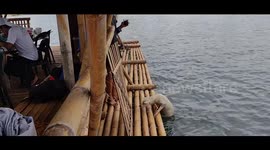 The dog swim towards to us, and find some foods to eat. and she is a mama's dog.