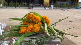 Thailand nightclub fire floral tributes left at scene by devastated relatives