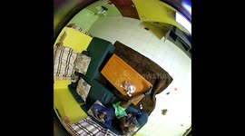 Boys will always be boys, in his adventures he almost fell dangerously, luckily the dad reflex kicked in