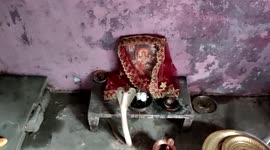 Snake sneaks into resident's prayer room in central India