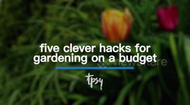 Clever Hacks for Gardening On a Budget