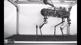 RAW VIDEO: Robot Dog Learns To Walk From Scratch In An Hour 5/5