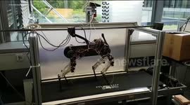 RAW VIDEO: Robot Dog Learns To Walk From Scratch In An Hour 4/5