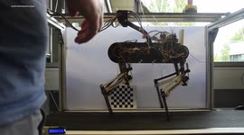 RAW VIDEO: Robot Dog Learns To Walk From Scratch In An Hour 3/5