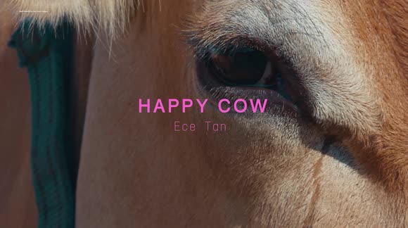 RAW VIDEO: Design Graduate Creates 