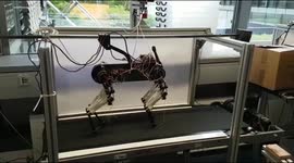 Meet Morti, robot dog that can learn how to walk from scratch in under an hour
