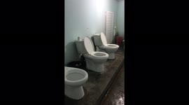 Would you ever use this restaurant toilet?