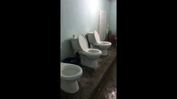 Would you ever use this restaurant toilet?