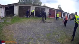 Police and firefighters team up to catch runaway kangaroo in the Czech Republic