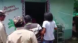 Injured pangolin rescued after being found in eastern India