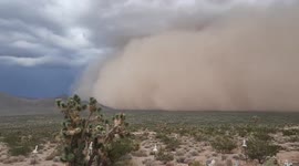 Huge wall of dust engulfs Arizona's Gold Basin