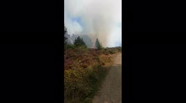 Wildfire (gorse) burning near St. Hilary and Friendship Woods near Penzance Cornwall. Filmed while checking the source of the smoke. Fortunately the fire brigade were already on scene and addressing