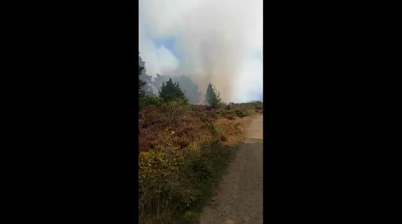 Wildfire (gorse) burning near St. Hilary and Friendship Woods near Penzance Cornwall. Filmed while checking the source of the smoke. Fortunately the fire brigade were already on scene and addressing