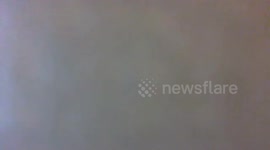 THE FORGOTTON ONES  PIP IN PLANTS  AND  WHO WILL HELP US