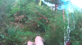 Paraglider snickers and screams as he crashes into trees in Norway