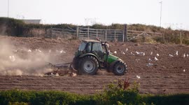 UK weather. Drought conditions see a farmer harrowing a field, dust clouds form in his wake. Crantock Cornwall UK.