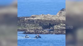 Animal welfare campaigners issue warning after video of jetskiers 'spooking' sleeping seals