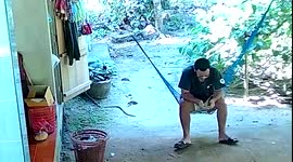 Calm resident watches snake slither past behind him while he lounges on hammock