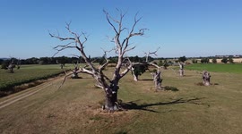 Historic English hamlet of Forthampton hit by severe drought conditions as the heatwave continues in Britain