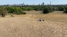 A completely dry Primrose Hill as a drought is officially declared in England