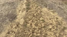 A completely dry Primrose Hill as a drought is officially declared in England