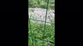 A father and child trapped in floodwaters in Pengzhou flash flood